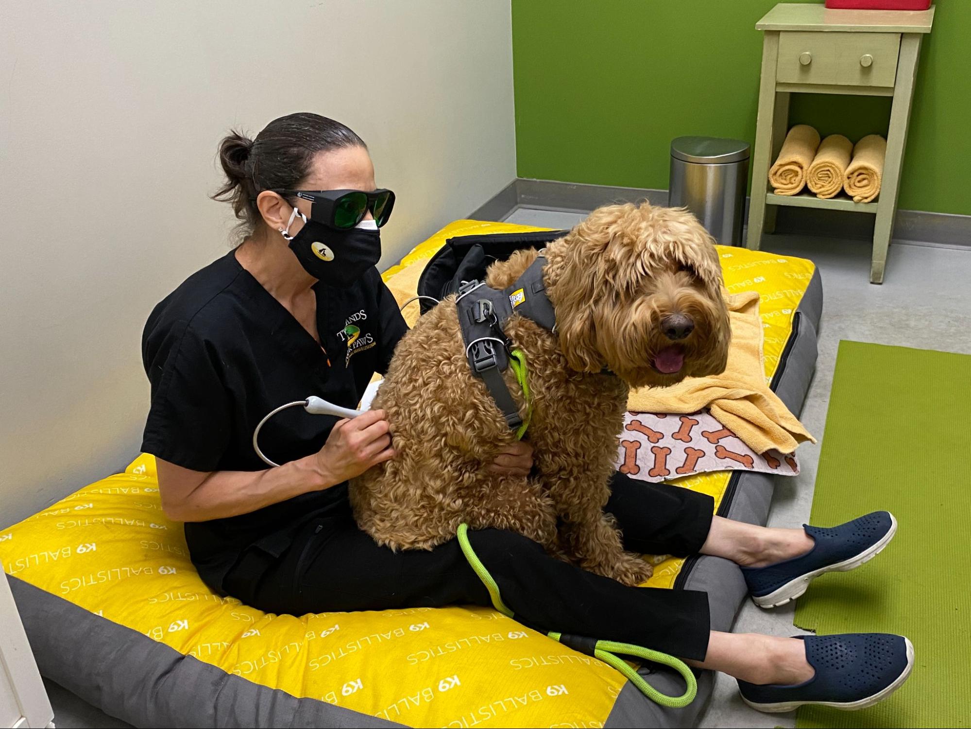 Doodle receiving laser therapy