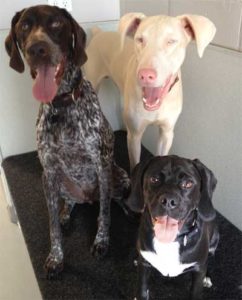 daycare