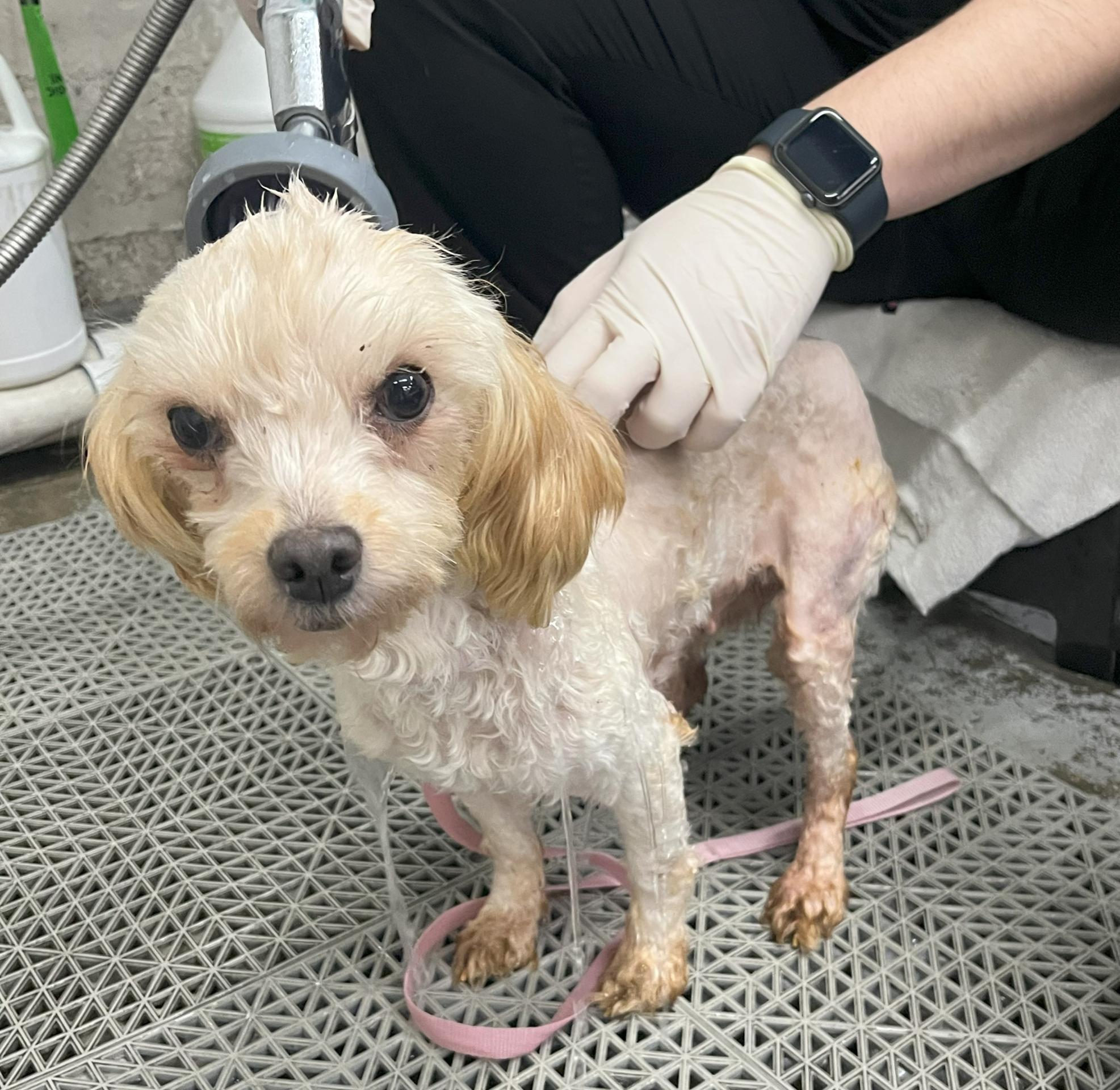 Frida Bath Time