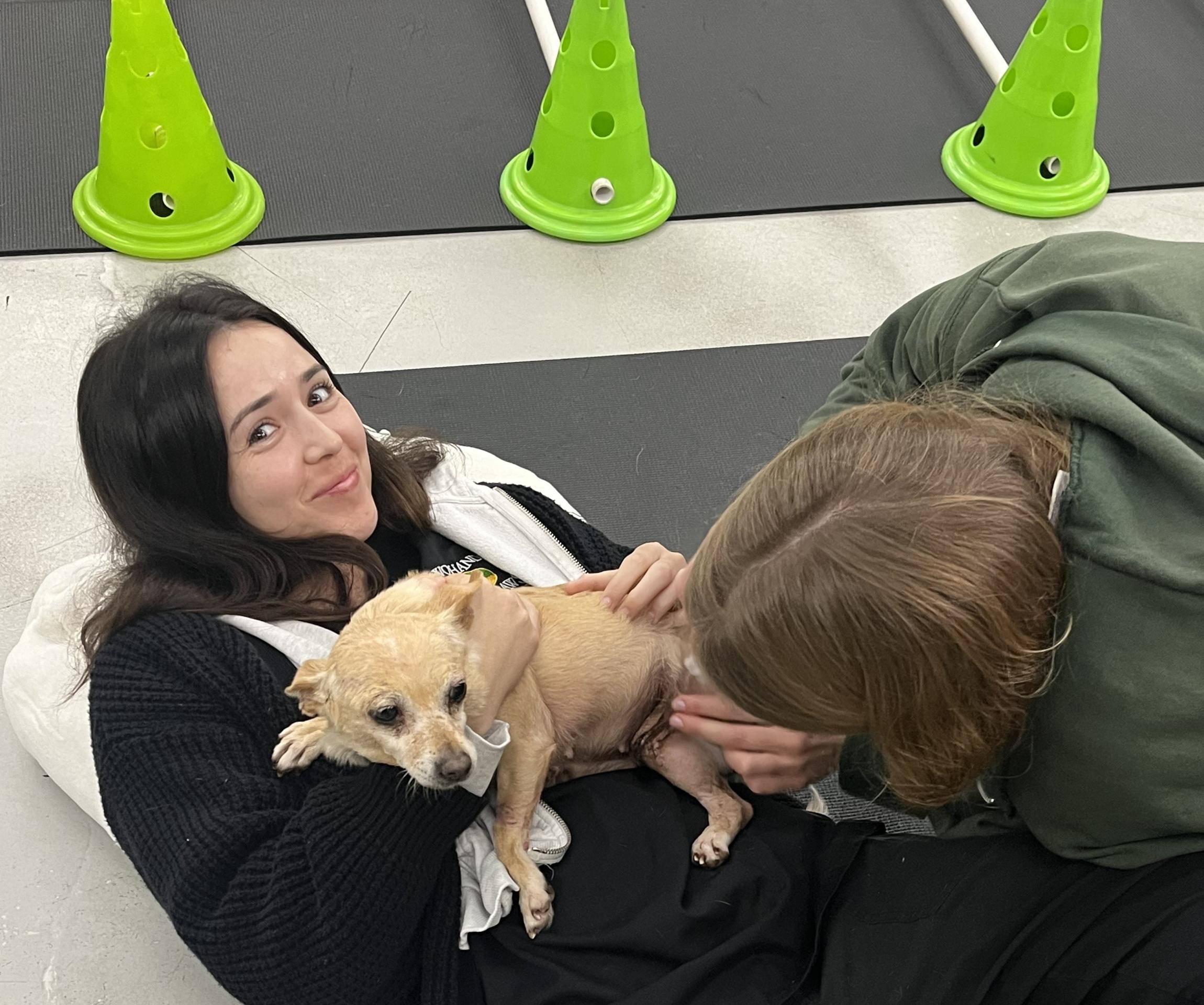 Matilda being held by a physical therapist at Two Hands Four Paws