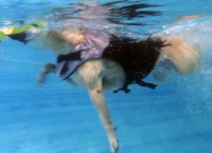 swim2