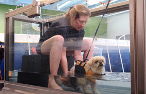 swim4
