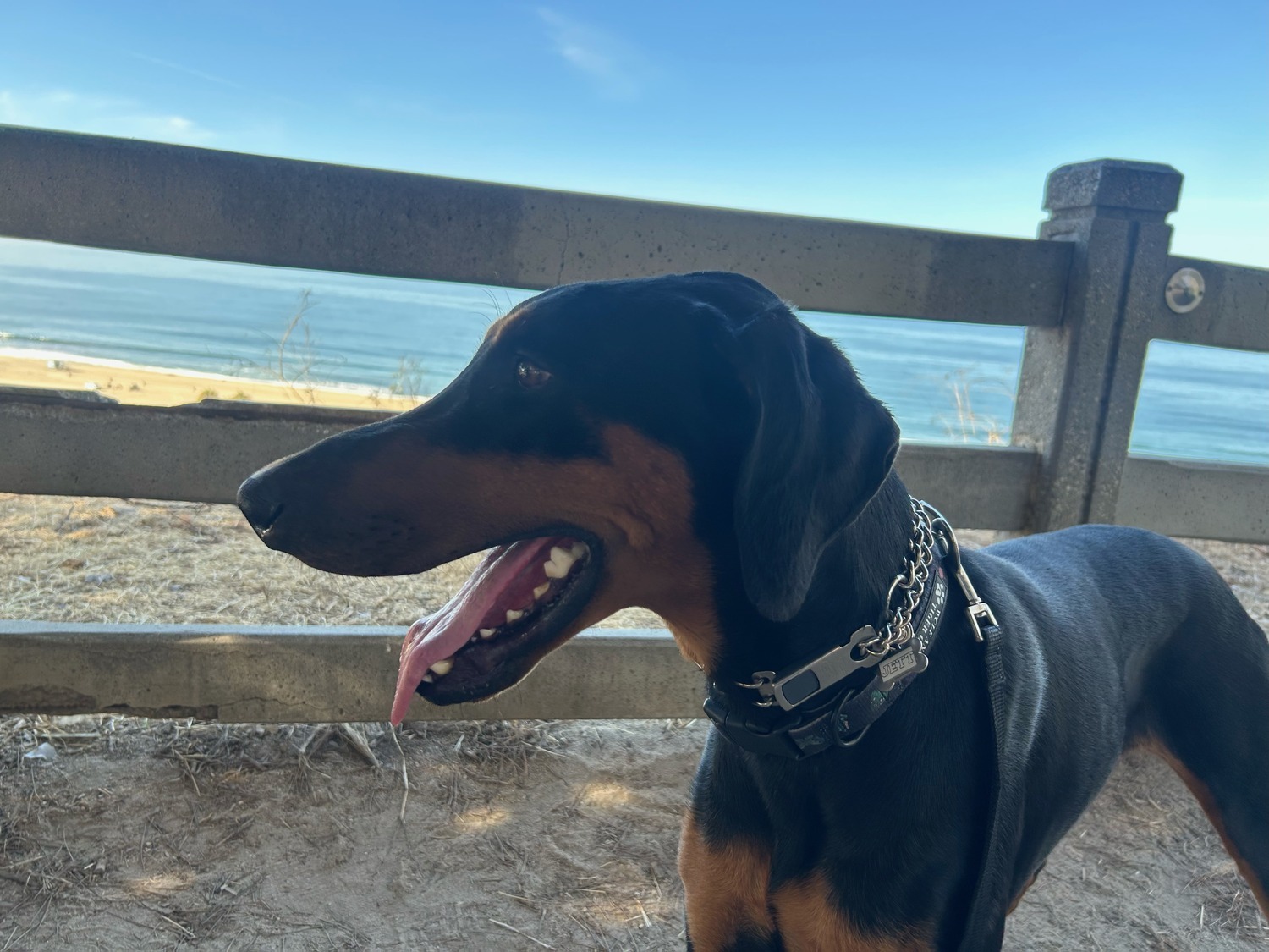 Jett 2
