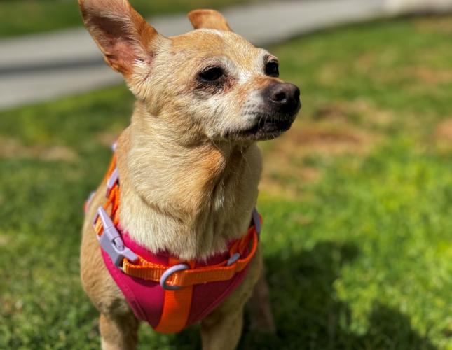 Matilda's Story Part 3: Putting in the Hard Yards